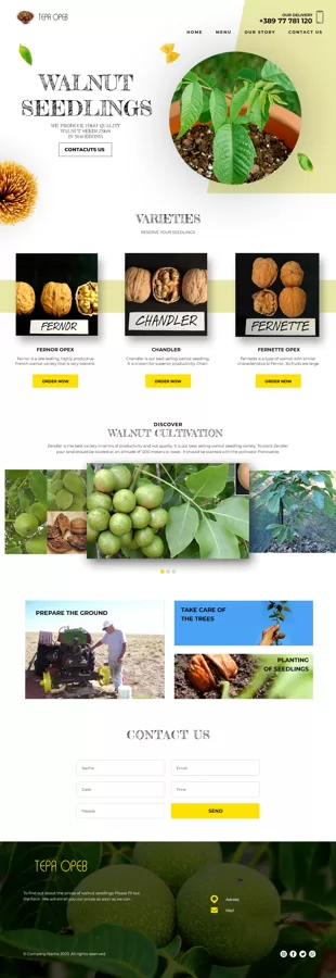 UI/UX